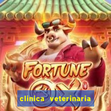 clinica veterinaria cuidar betim